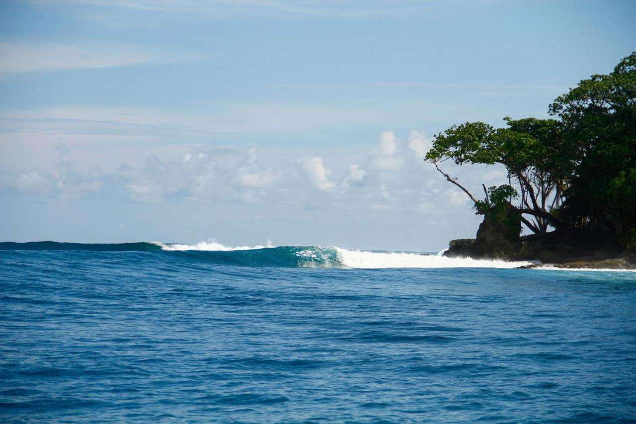 Hidden Bay Resort Mentawais Masokut Eksteriør bilde